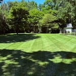 Mowing