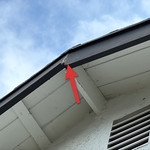 Fascia