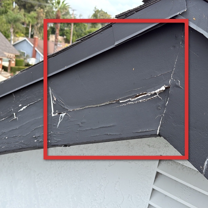Fascia