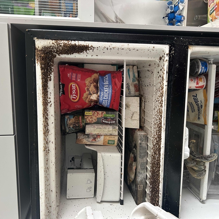 Deep cleaning