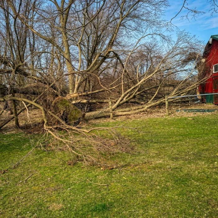 Emergency (tornado)