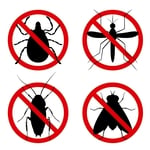 No Bugs