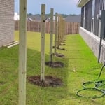 fence