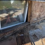Termite Damage