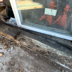 Termite Damage