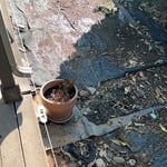 Installing Some Rock