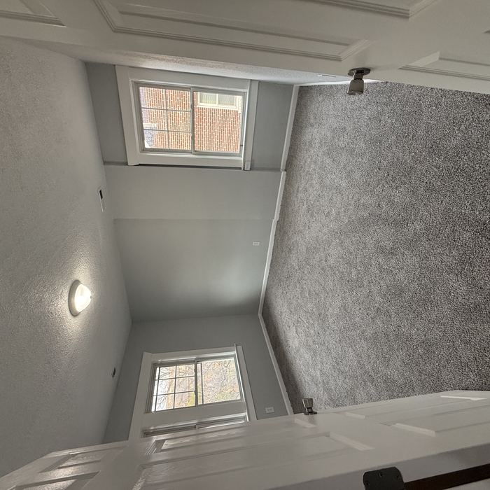 Carpet