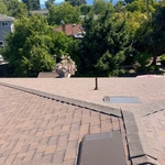 Shingle Roof