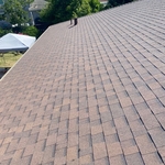 Shingle Roof