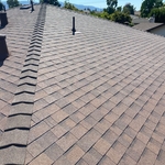 Shingle Roof