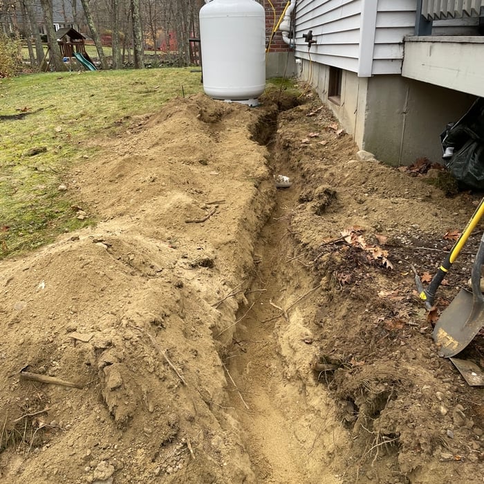 Natural retaining wall