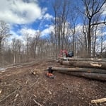 LAND CLEARING/SITE PREP