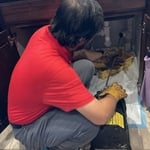 Snake Kitchen Sink