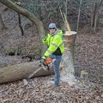 Tree Felling
