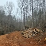 Logging