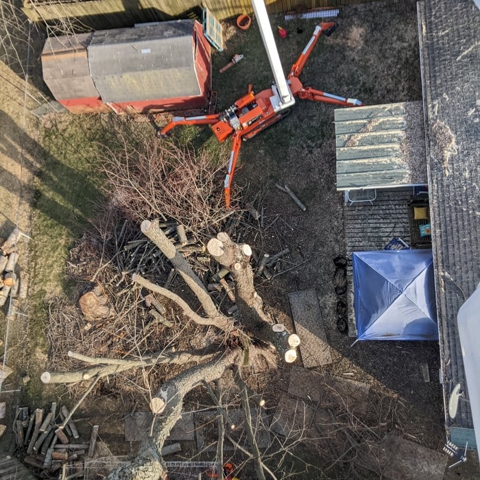Tree topping