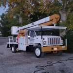 Tree trimming
