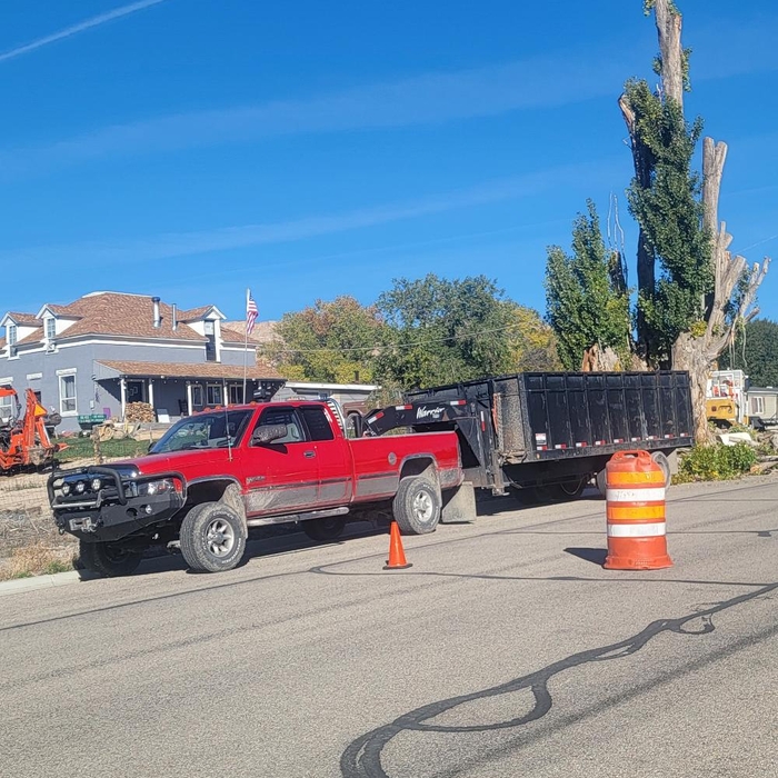 Tree trimming