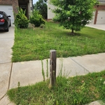 Elmstone Commons