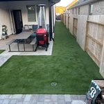 Backyard Turf