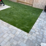 Backyard Turf