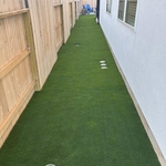Backyard Turf