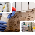 What We Can Do For You