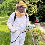 Bee Removal