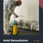 What We Can Do For You