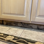 mold