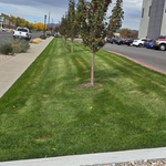 Lawn maintenance