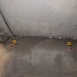 cellar