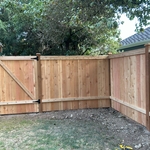 Cedar Fence