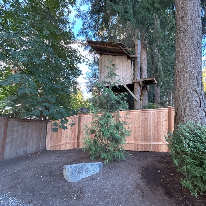 Cedar Fence