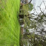 Lawn mow