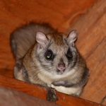 What We Can Rid You Of...