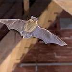 What We Can Rid You Of...