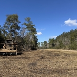 forestry mulching