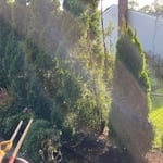 Privacy Trees