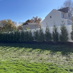 Privacy Trees