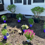 Powell Property Care
