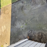 Walkway’s Before