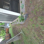 The before