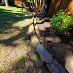 Grapevine back yard