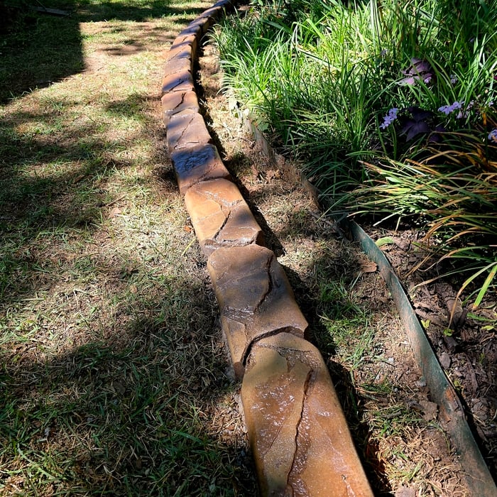 Grapevine back yard