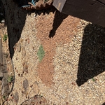 Memorial landscaping