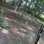 Wire fence