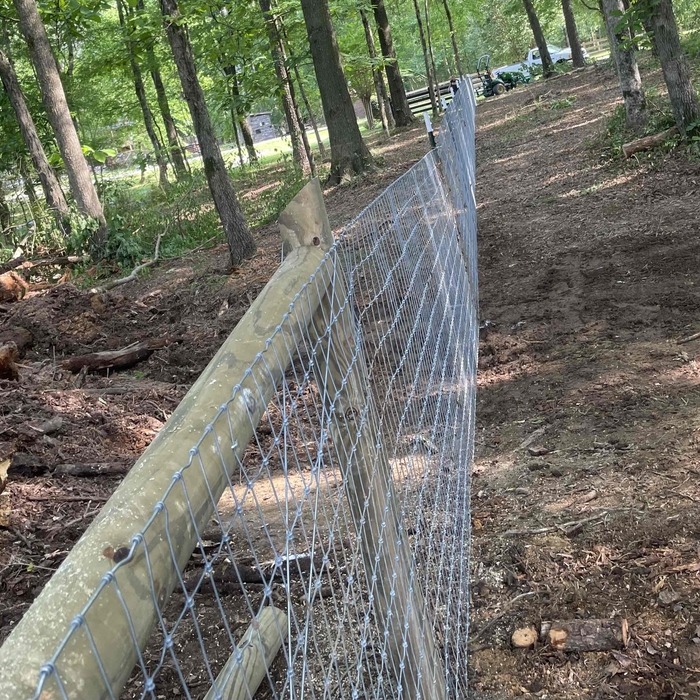 Wire fence