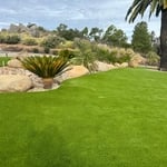 Escondido Front Yard