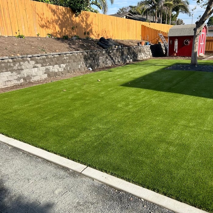 Backyard Remodel